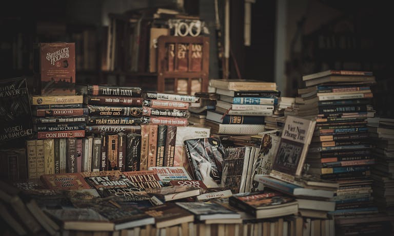 A cozy indoor bookstore with stacked bookshelves filled with novels and literature.